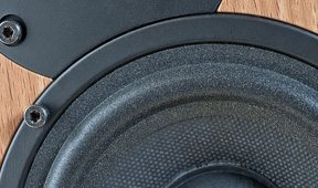 热烈庆祝浙江豪声电子科技股份有限公司网站正式上线！